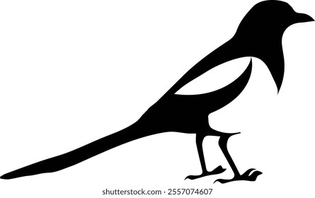 Cool and realistic bird silhouette vector and illustrations