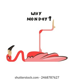 Cool rich cartoon flamingo . Vector clip art illustration. Why Monday.