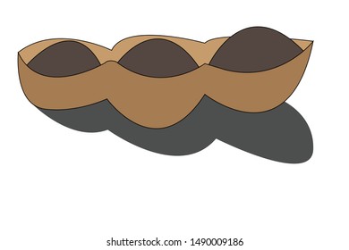Cool simple bean seed vector