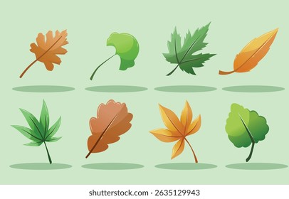 cool simple leaf set illustration