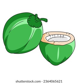 Cool and simple young coconut coloring vector icon image