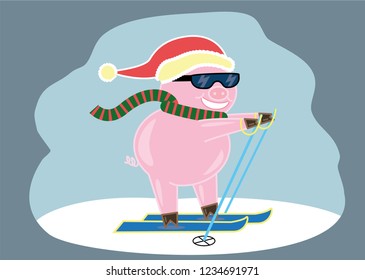 Cool skiing pig