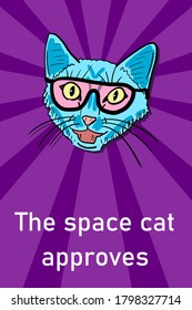 Cool space cat in sunglasses - cool cat meme with copy space. Approval message.