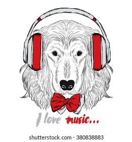 Cool spaniel in headphones. Dog vector. Hipster.