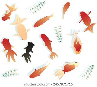 Cool summer Japanese style image material of goldfish and flowers