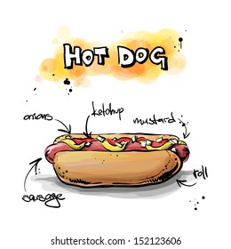 Cool Tasty Hot Dog. Sketch + Watercolor Style. Vector Illustration.