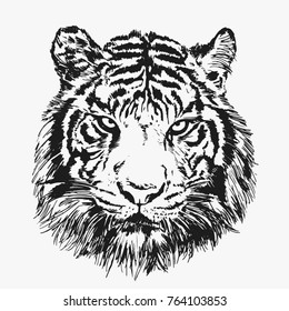 Cool Tiger Face. Vector Illustration