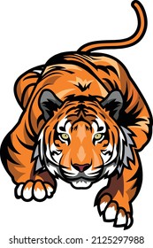 a cool tiger with full body
