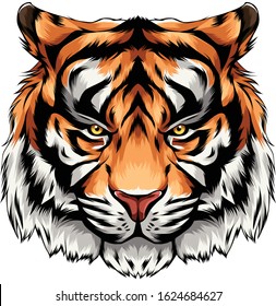 Cool Tiger Vector Head Illustration Stock Vector (Royalty Free ...