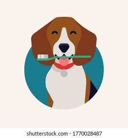 Cool Vector Flat Design Element On Dog Dental Health. Canine Teeth Health Concept Round Shaped Design Element With Happy Beagle Dog Popping Out Of Round Frame Holding A Toothbrush 4