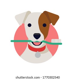 Cool vector flat design element on dog dental health. Canine teeth health concept round shaped design element with happy jack russell dog popping out of round frame holding a toothbrush