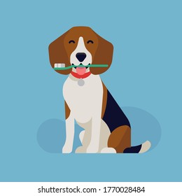 Cool vector flat design on canine teeth health. Dog dental health concept illustration with happy beagle dog holding a toothbrush 