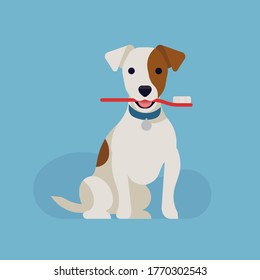 Cool vector flat design on canine teeth health. Dog dental health concept illustration with happy jack russell dog holding a toothbrush 