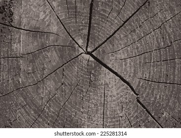 cool wood texture