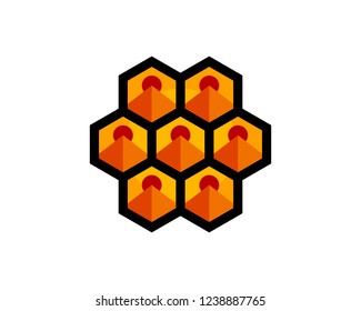 coolest hexagon beehive design