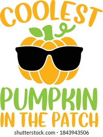 Coolest pumpkin in the patch vector design, pumpkin cut file, pumpkin with glasses, kids fall illustration, Thanksgiving design