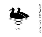 Coot, duck, bird, black silhouette vector icon illustration.