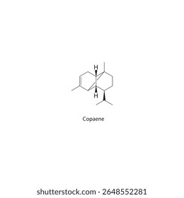 Estrutura esquelética de Copaene. Ilustração esquemática do composto de sesquiterpeno. Diagrama simples, fórmula química.