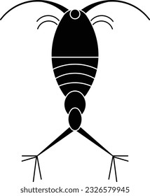 Copepod insect bug animal wild Glyph