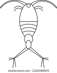 Copepod insect bug animal wild Outline