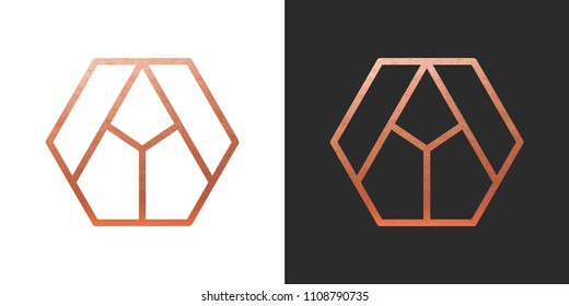 Copper geometric hexagon Logo Shape. Vector Icon.