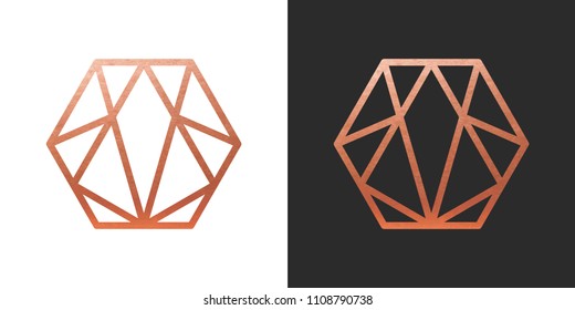 Copper geometric hexagon Logo Shape. Vector Icon.