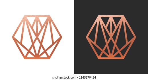 Copper geometric hexagon Logo Shape. Vector Icon.