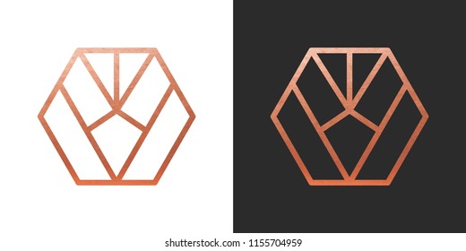 Copper geometric hexagon Logo Shape. Vector Icon.