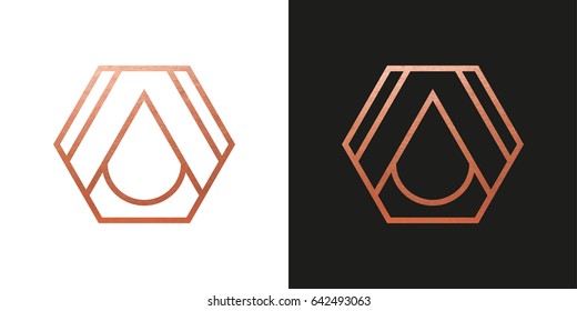 Copper geometric hexagon Logo Shape. Vector Icon.