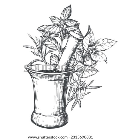 Copper mortar for grinding herbs and spices. Vector aromatic illustration: rosemary, basil, laurel. Hand sketch in engraving technique. Separate design elements in a rustic style.