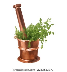 Copper Mortar and Pestle with Herbs Isolated Hand Drawn Painting Illustration