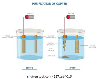 Copper purification by electrolysis. Electrolysis of copper sulfate solution with impure copper anode and pure Cu cathode. Copper is purified by electrolysis. vector illustration. 