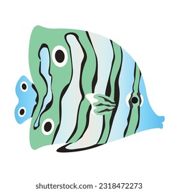 Copperband butterflyfish on white background