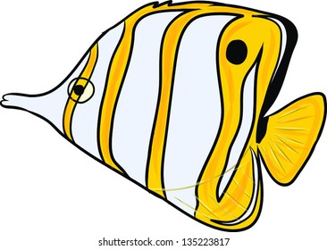 Copperbanded Butterfly Fish