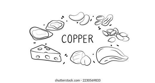 Copper-containing food. Groups of healthy products containing vitamins and minerals. Set of fruits, vegetables, meats, fish and dairy