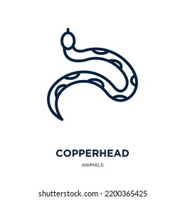 copperhead icon from animals collection. Thin linear copperhead, animal, snake outline icon isolated on white background. Line vector copperhead sign, symbol for web and mobile