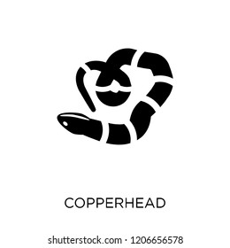 copperhead icon. copperhead symbol design from Animals collection. Simple element vector illustration on white background.
