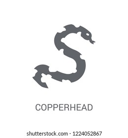 copperhead icon. Trendy copperhead logo concept on white background from animals collection. Suitable for use on web apps, mobile apps and print media.