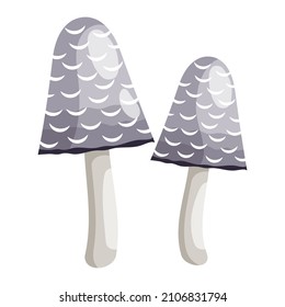 Coprinus mushroom. Dung mushroom. Genus of the Champignon family. Botanical theme. Vector illustration