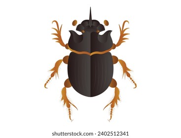 Copris Lunaris Male Beetle Vector Art isolated on White Background