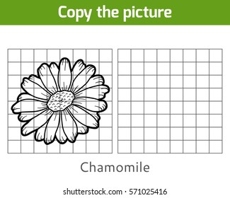 Copy the picture, education game for children, Chamomile