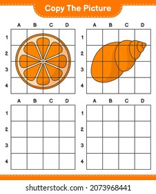 Copy the picture, copy the picture of Orange and Sea Shells using grid lines. Educational children game, printable worksheet, vector illustration
