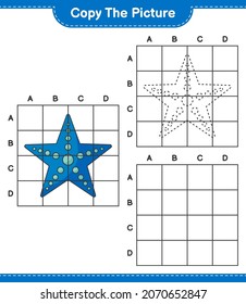 Copy the picture, copy the picture of Starfish using grid lines. Educational children game, printable worksheet, vector illustration