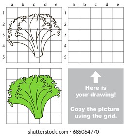 Copy the picture using grid lines, the simple educational game for preschool children education with easy gaming level, the kid drawing game with Lettuce