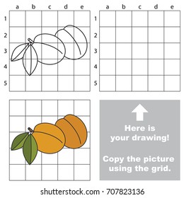 Copy the picture using grid lines, the simple educational game for preschool children education with easy gaming level, the kid drawing game with Two Apricot