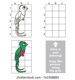 Copy the picture using grid lines, the simple educational game for preschool children education with easy gaming level, the vertical kid drawing game with Quetzal Bird