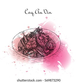 Coq au Vin watercolor effect illustration. Vector illustration of French cuisine.