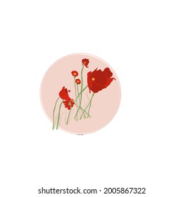 Coquelicots vectorielle drawing natural design 