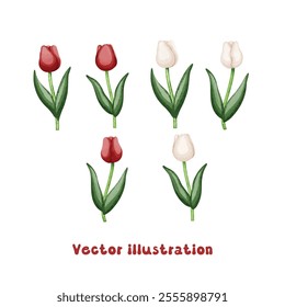 Coquette Red and white tulip vector illustration, vintage preppy aesthetic hand drawn, watercolor nostalgia decorative trendy