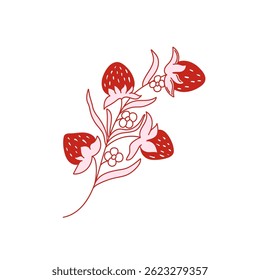 Coquette vintage strawberry branch with berries, blooming flowers and leaf. Red and pink strawberry on white background. Vector illustration for posters, cards, logo, printing on t-shirt etc.